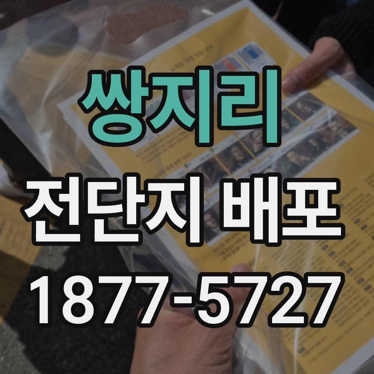 쌍지리 전단지 배포