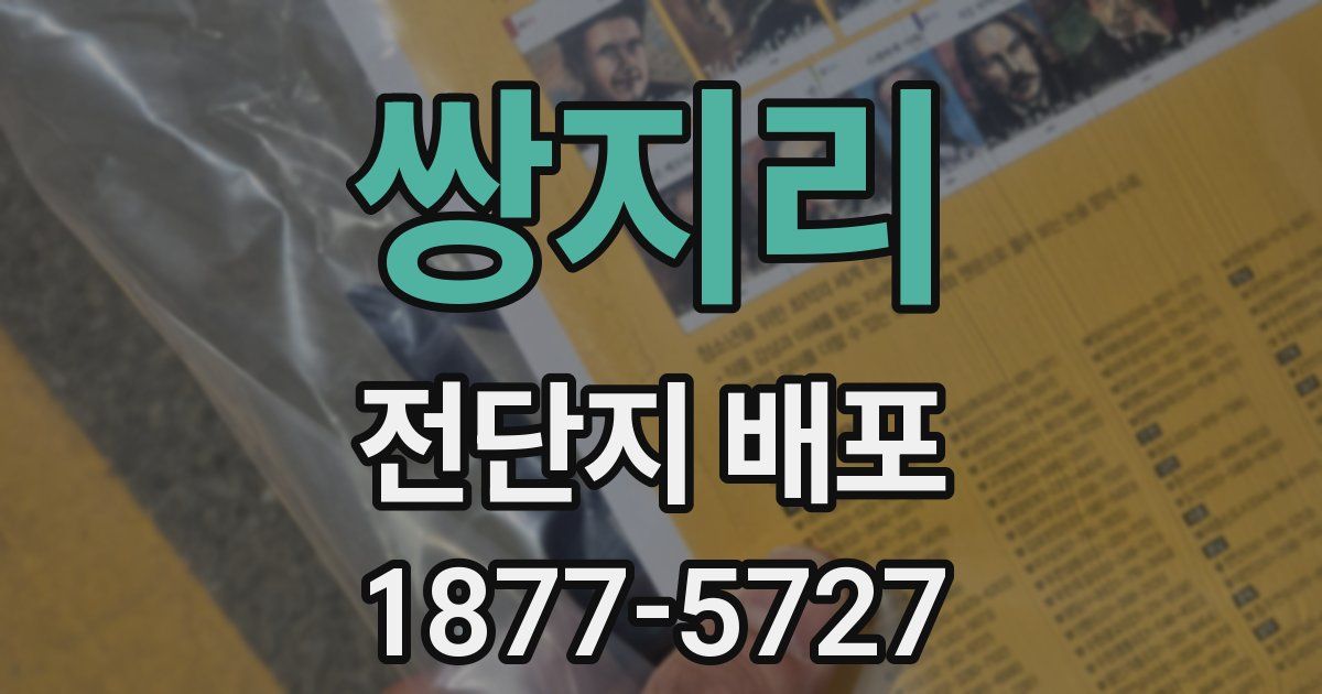 쌍지리 전단지 배포