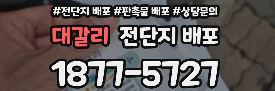대갈리 전단지 배포