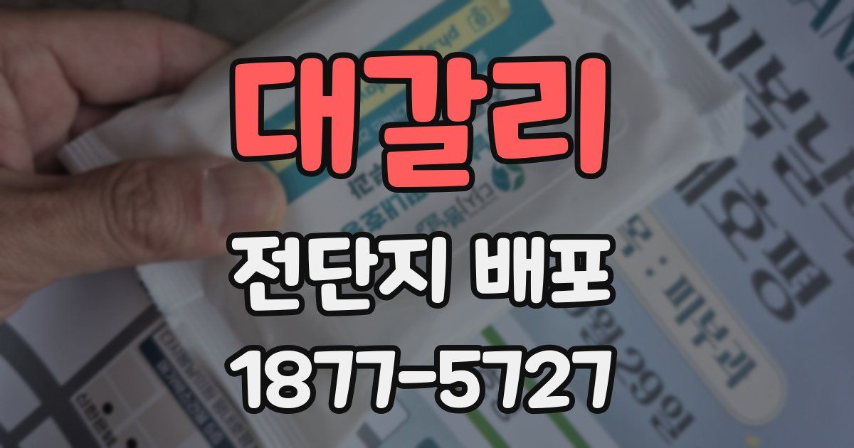 대갈리 전단지 배포
