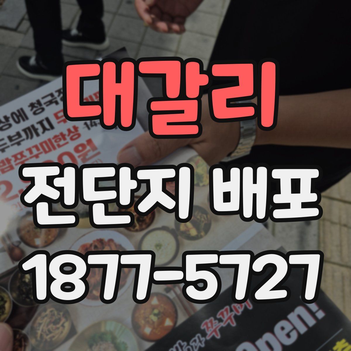 대갈리 전단지 배포