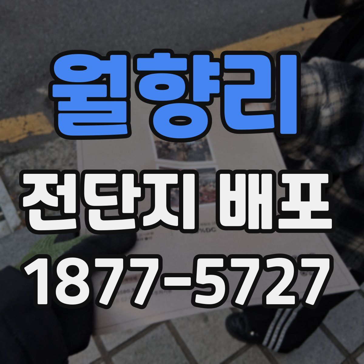 월향리 전단지 배포