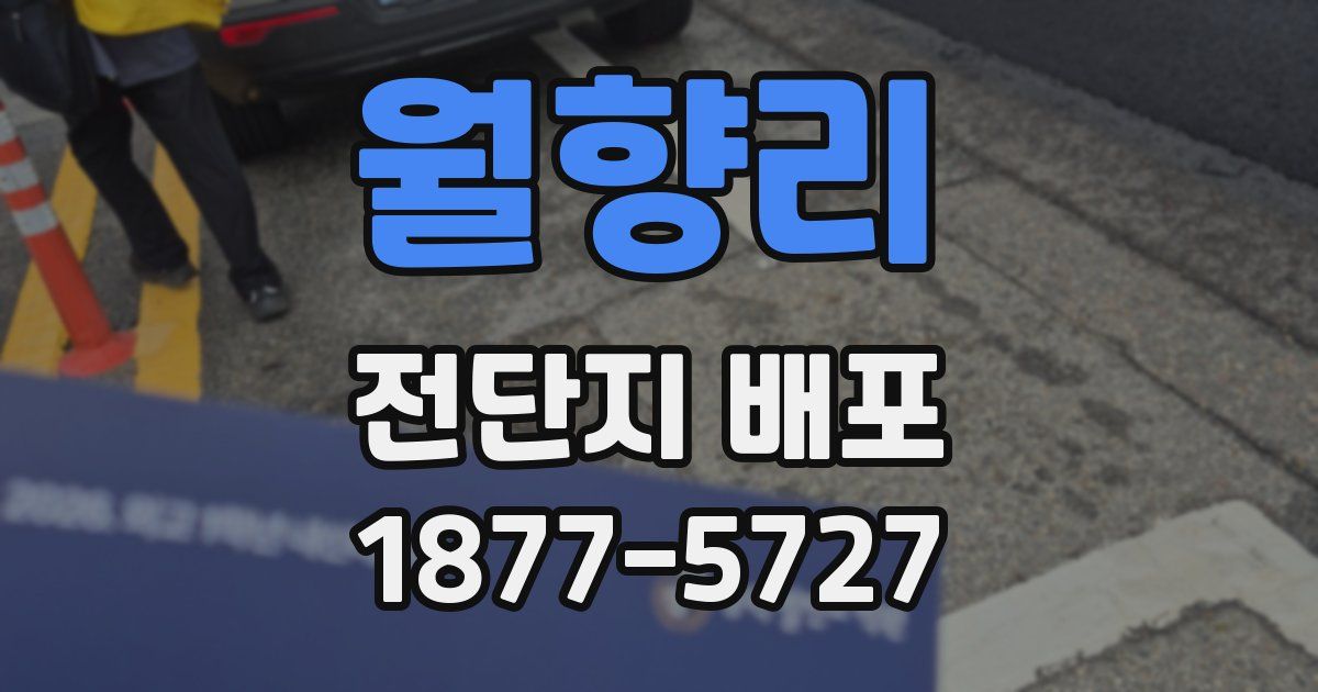월향리 전단지 배포