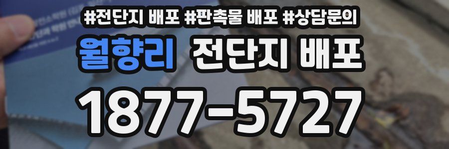 월향리 전단지 배포