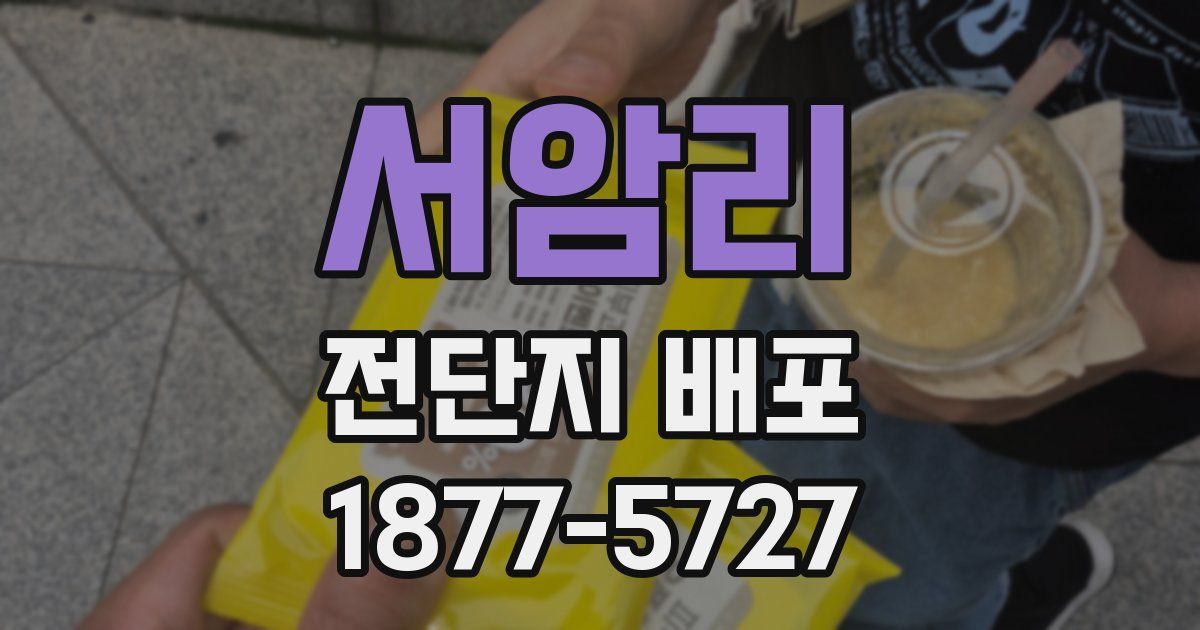 서암리 전단지 배포
