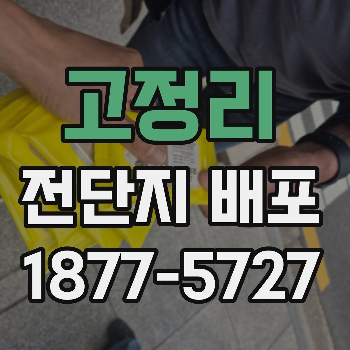 고정리 전단지 배포