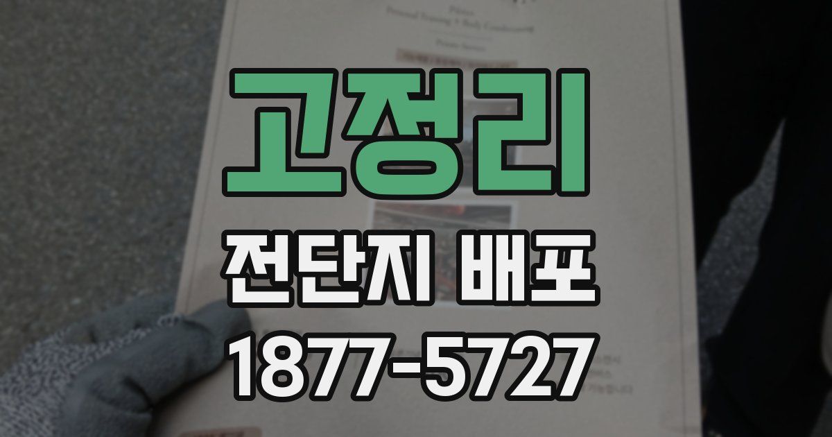 고정리 전단지 배포