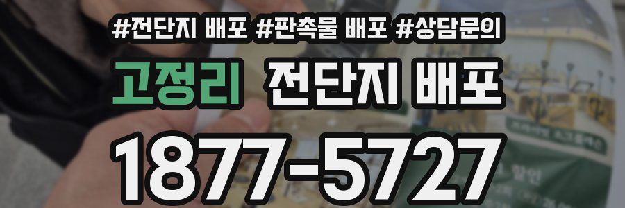 고정리 전단지 배포