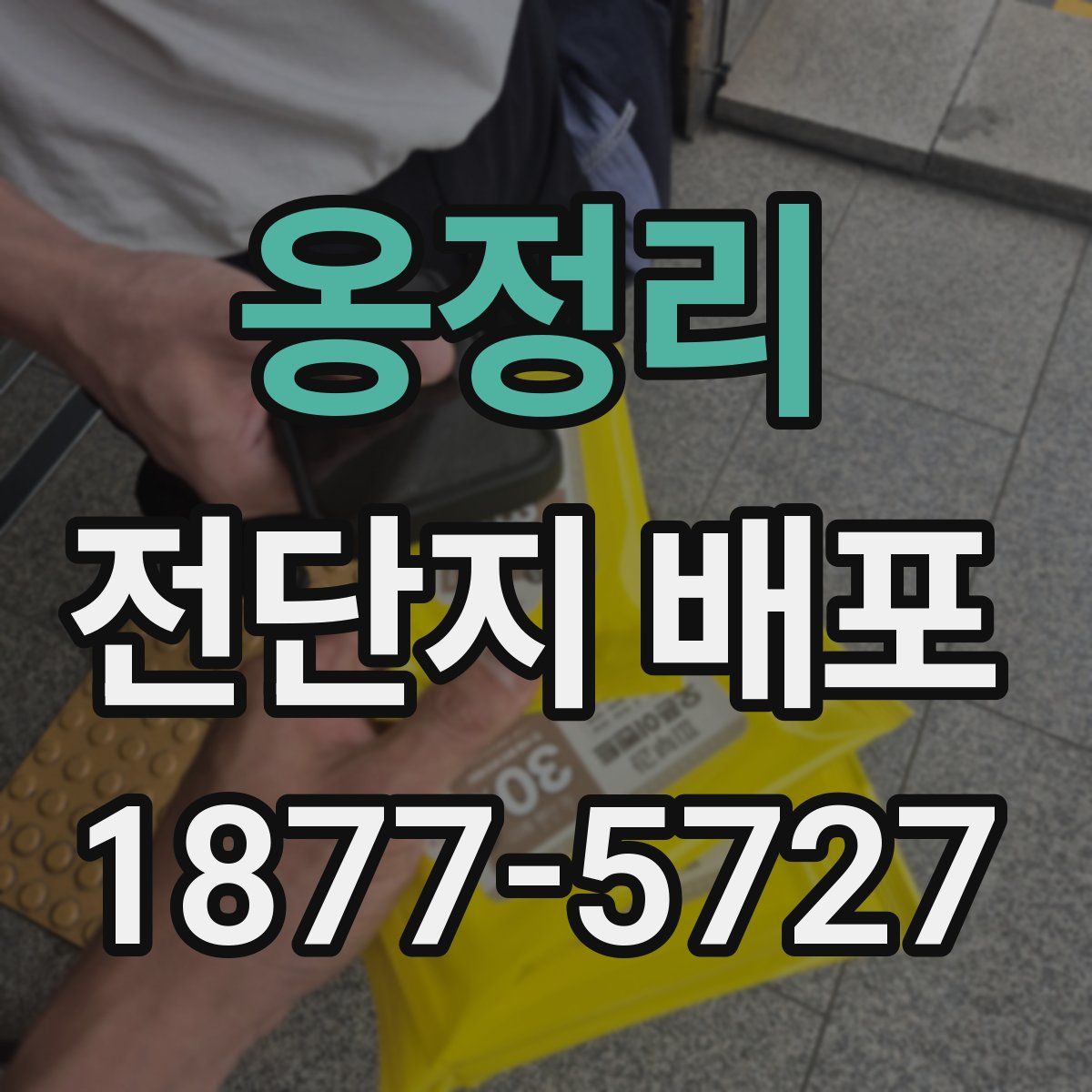 옹정리 전단지 배포