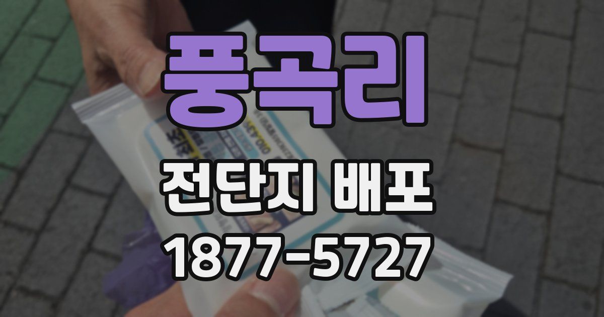 풍곡리 전단지 배포