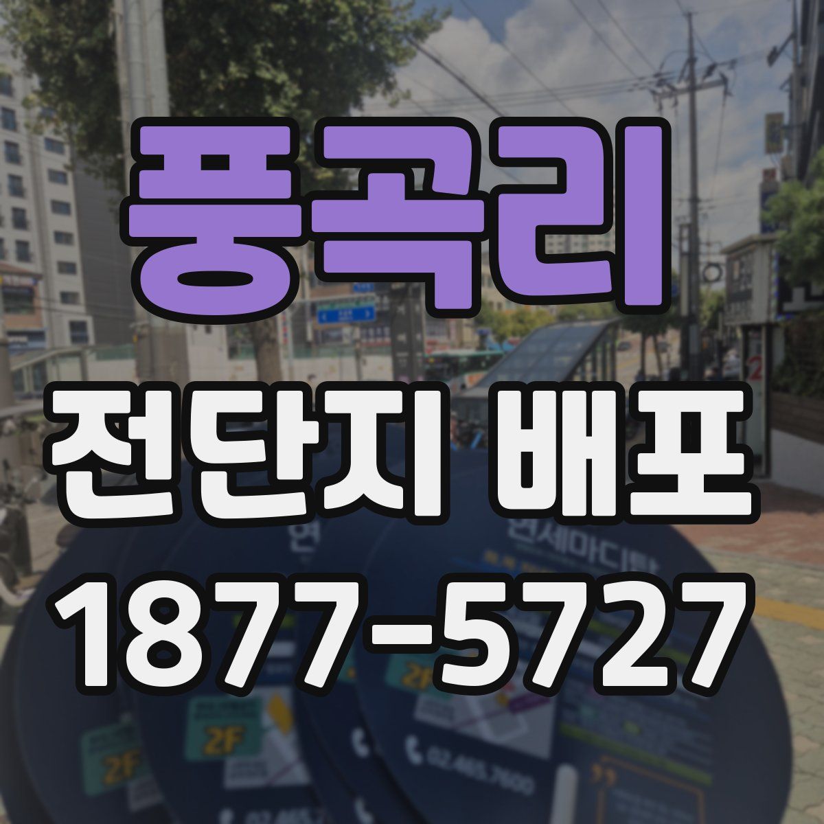 풍곡리 전단지 배포