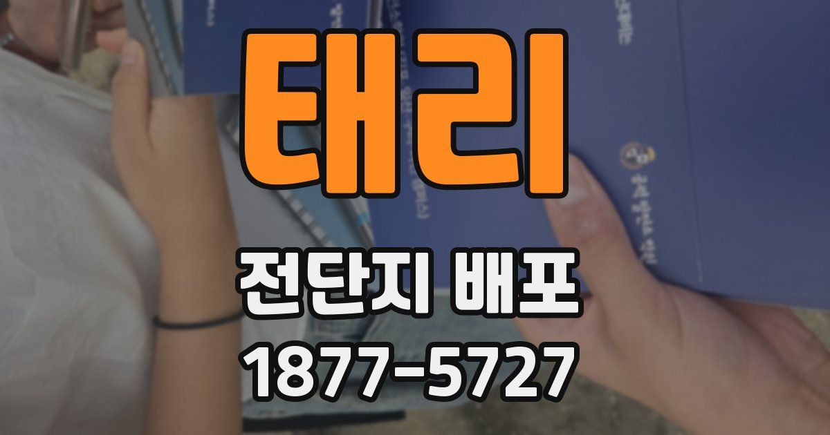 태리 전단지 배포