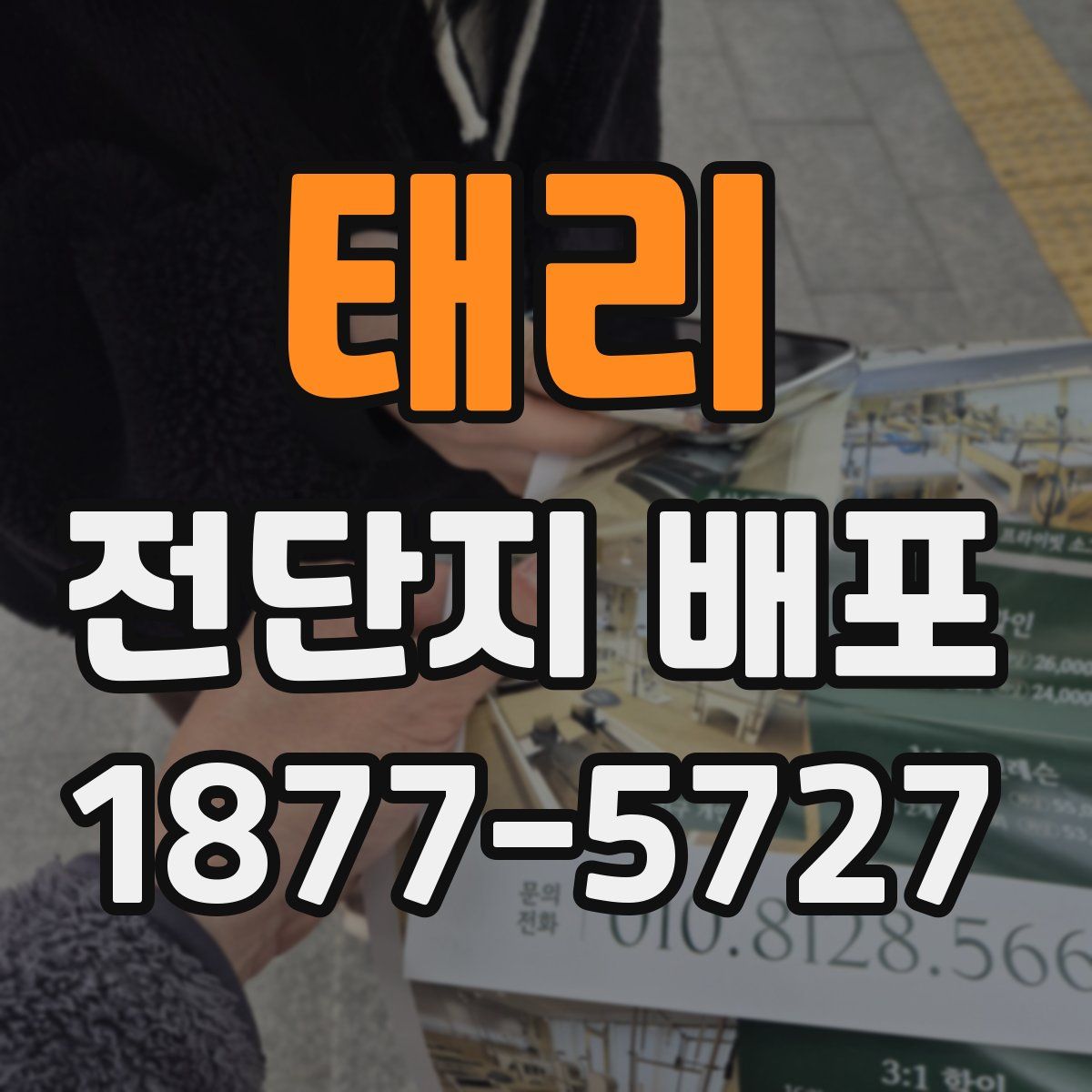 태리 전단지 배포