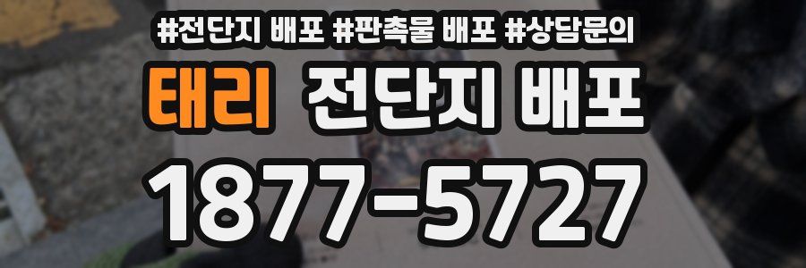태리 전단지 배포