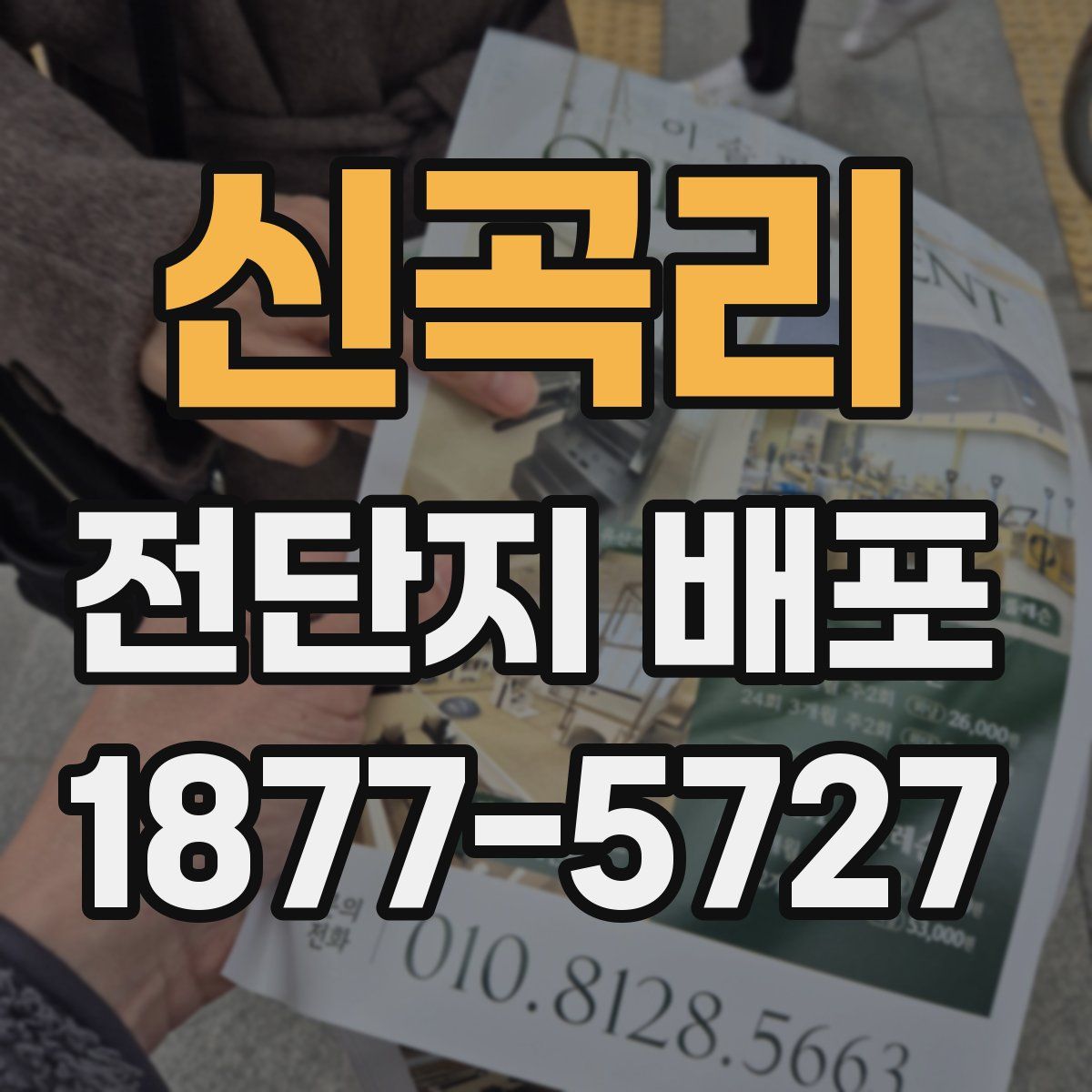 신곡리 전단지 배포