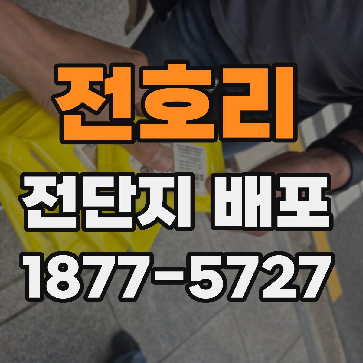 전호리 전단지 배포