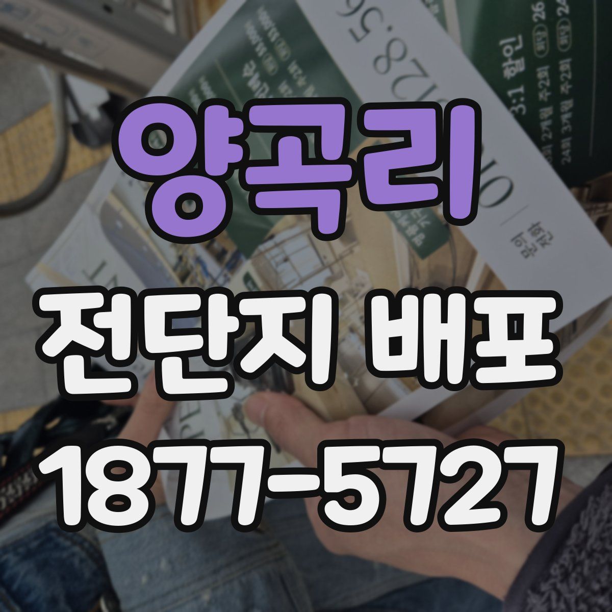 양곡리 전단지 배포