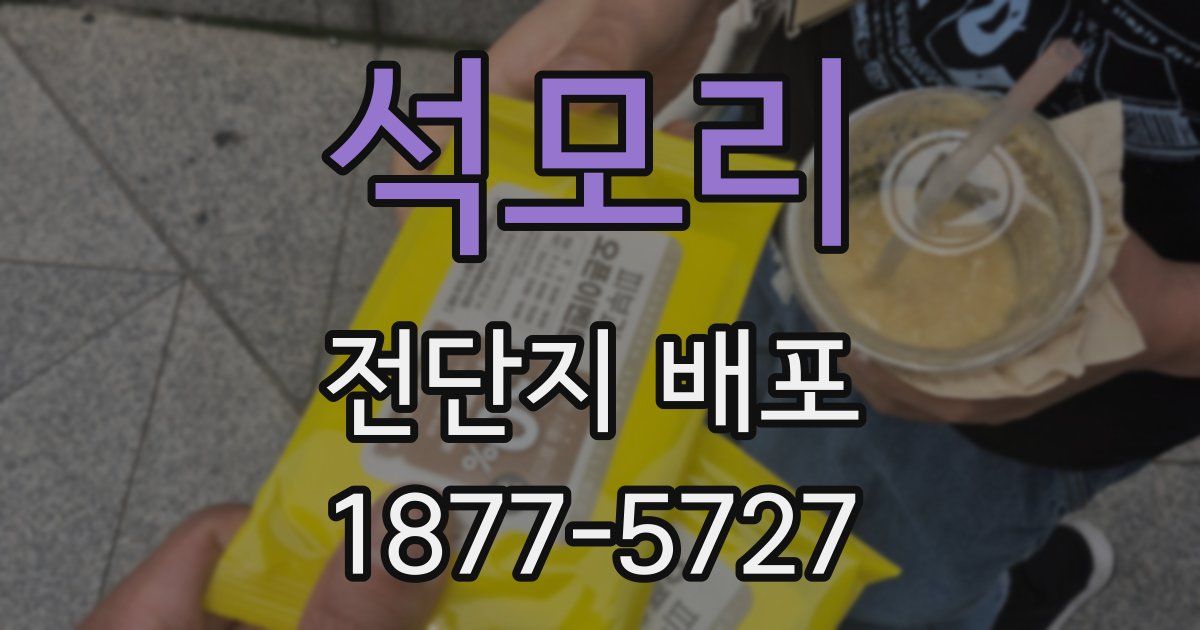 석모리 전단지 배포