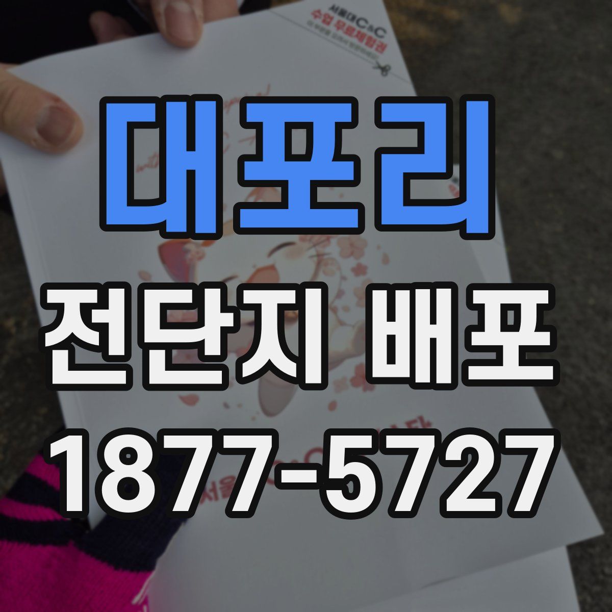 대포리 전단지 배포