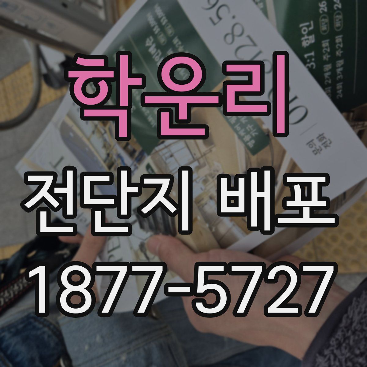 학운리 전단지 배포