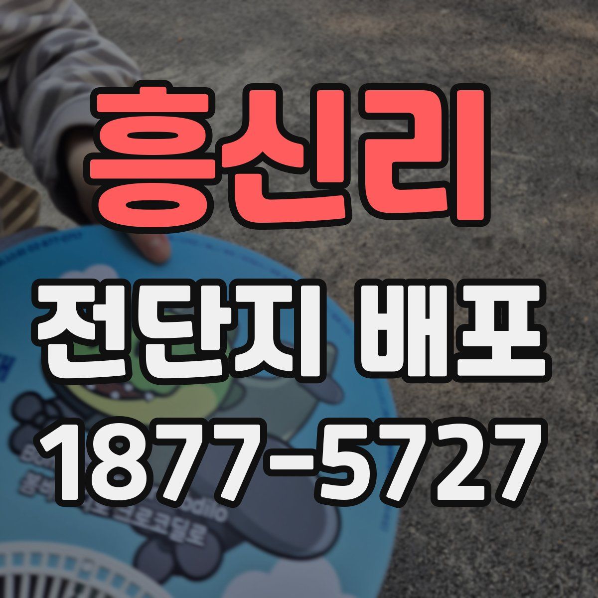흥신리 전단지 배포