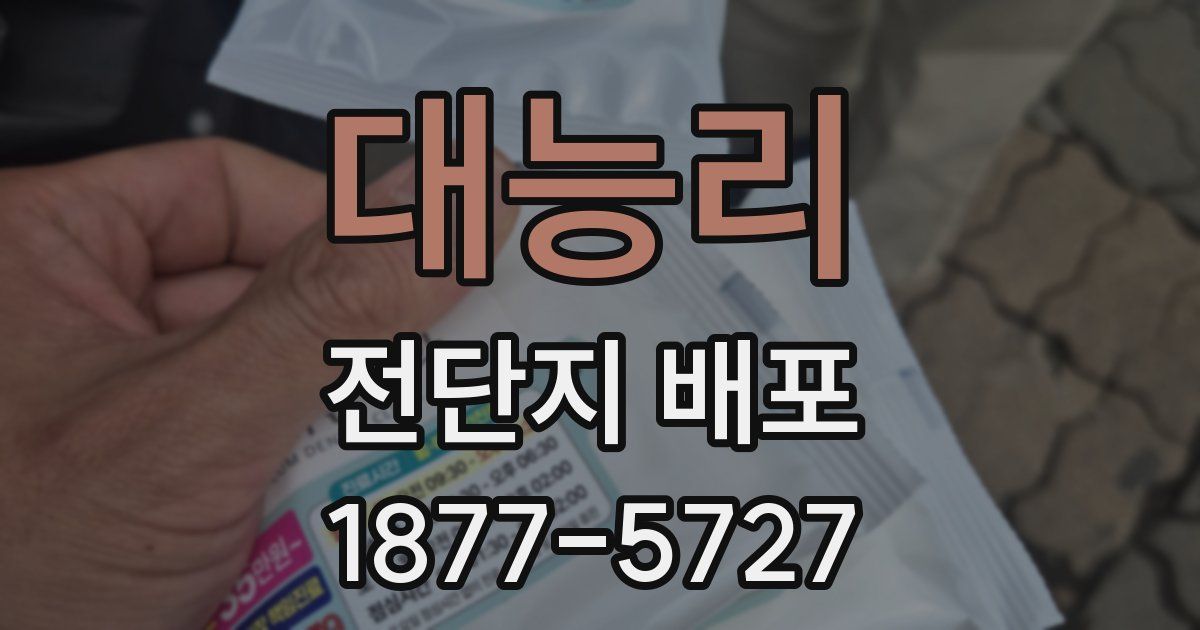 대능리 전단지 배포