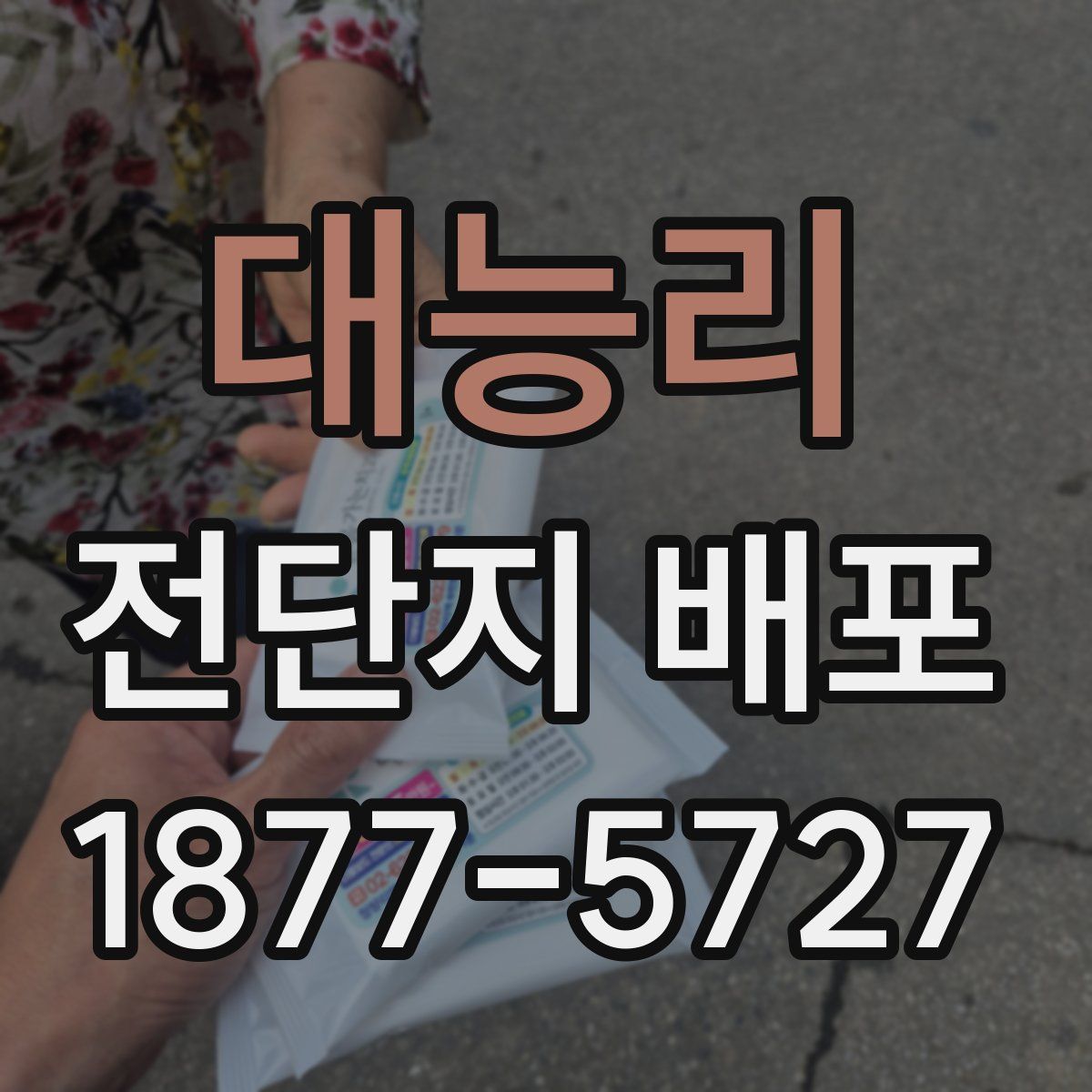대능리 전단지 배포