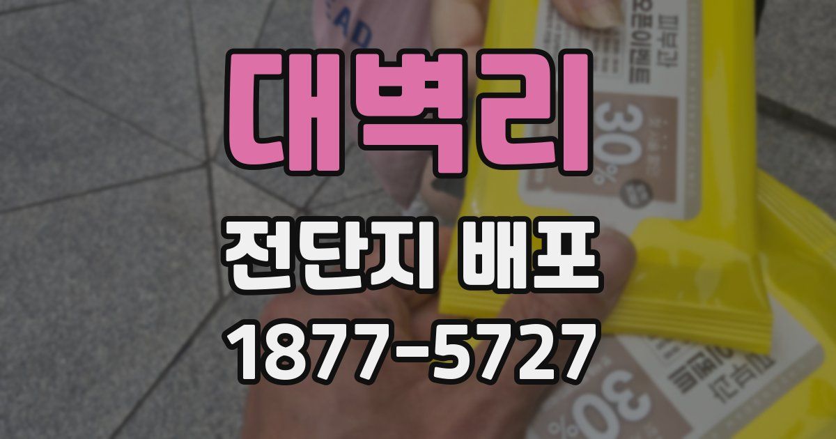 대벽리 전단지 배포