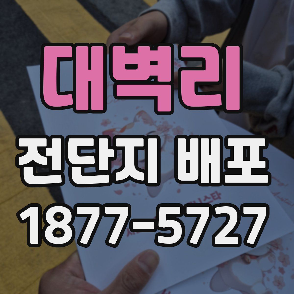 대벽리 전단지 배포