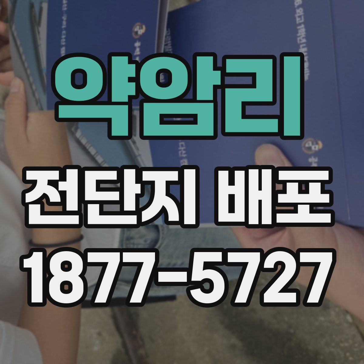 약암리 전단지 배포
