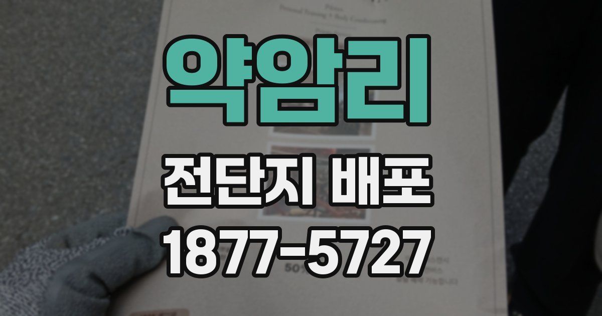 약암리 전단지 배포