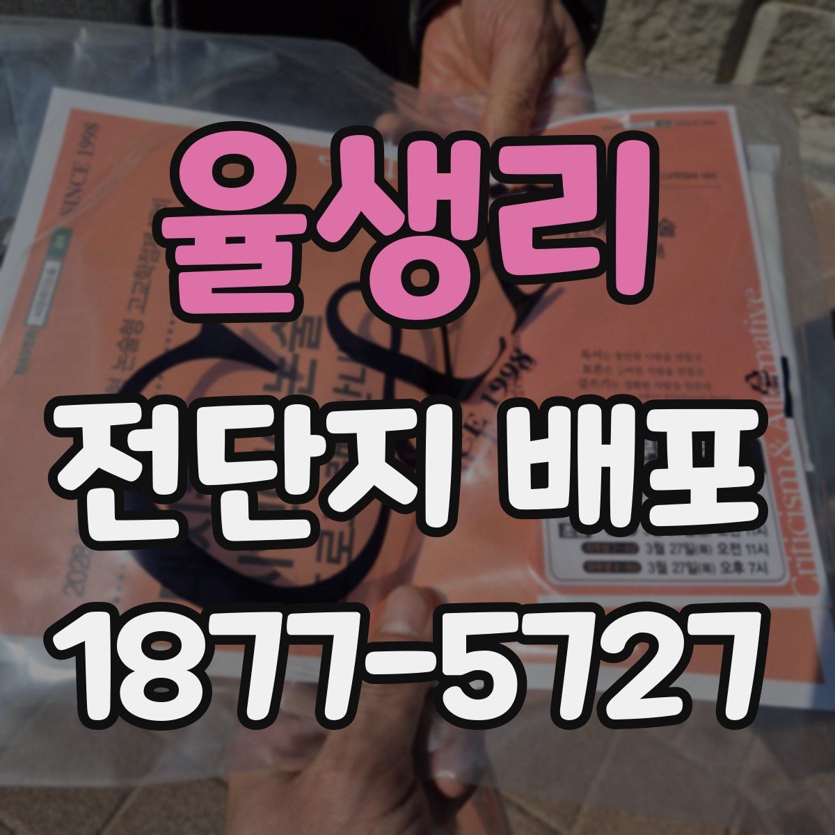 율생리 전단지 배포