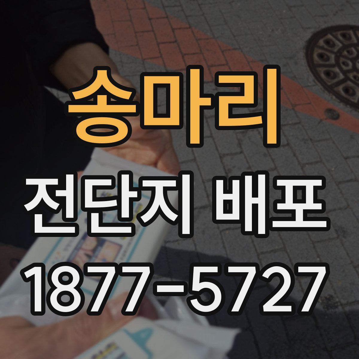 송마리 전단지 배포