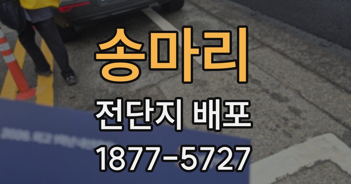 송마리 전단지 배포
