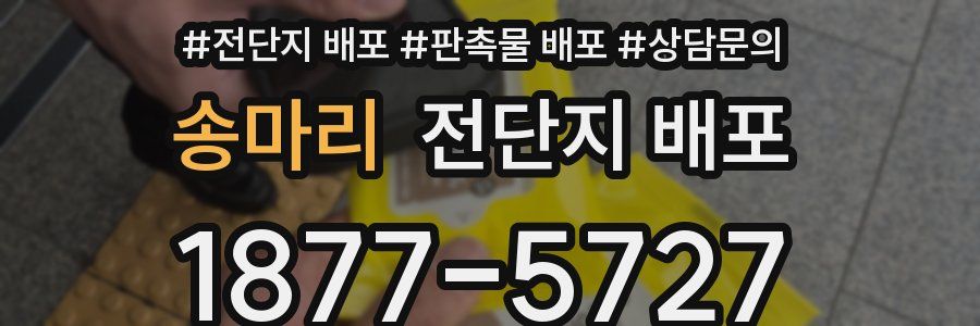 송마리 전단지 배포