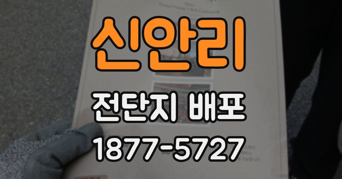 신안리 전단지 배포