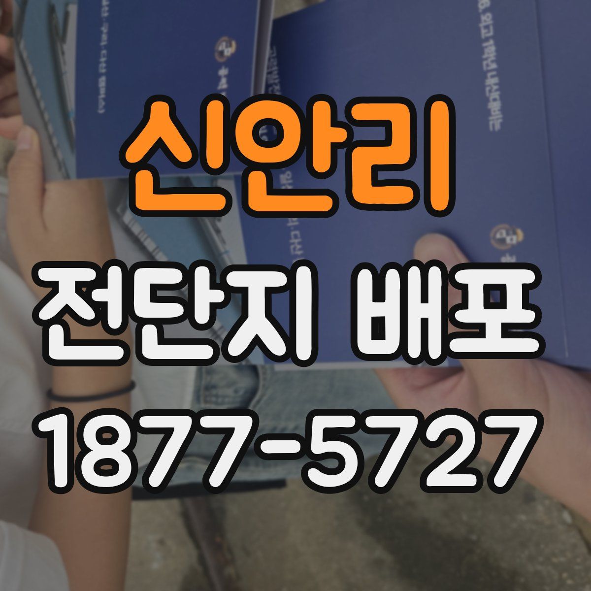 신안리 전단지 배포