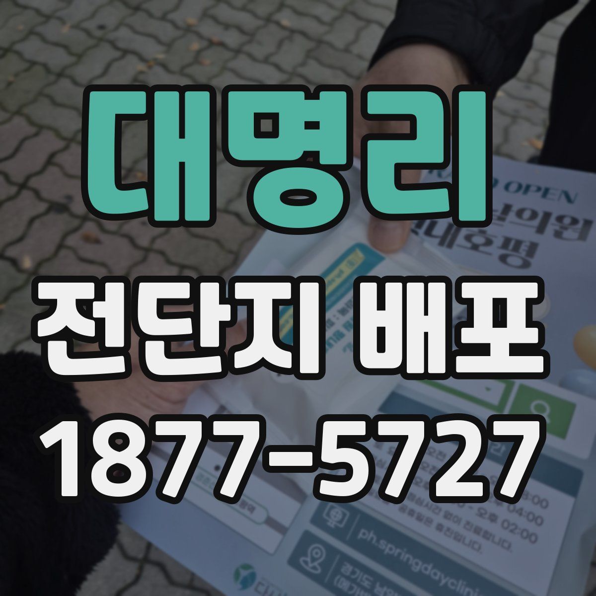 대명리 전단지 배포