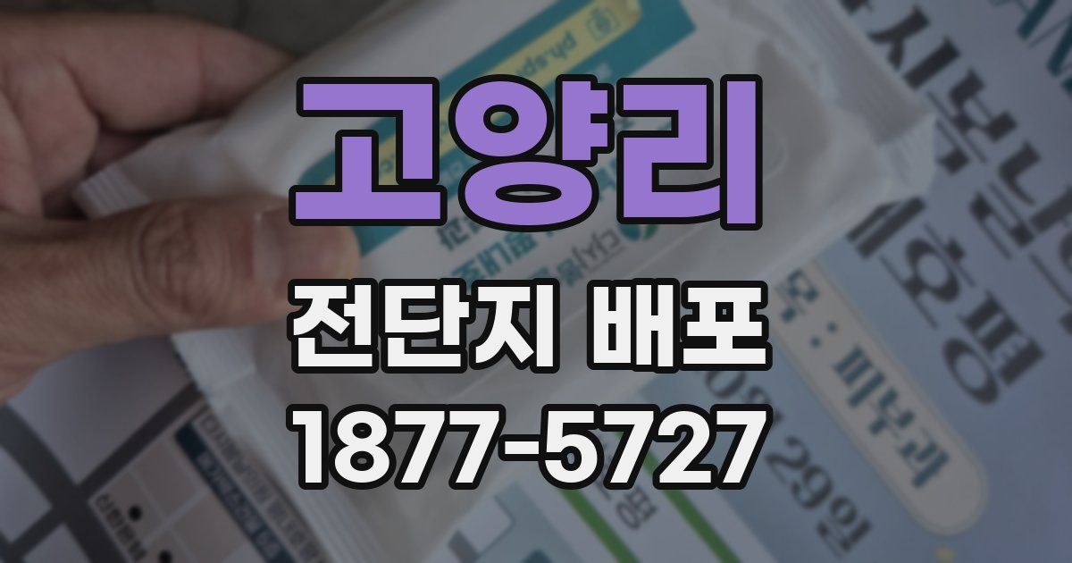 고양리 전단지 배포