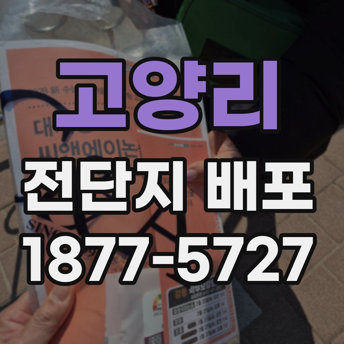 고양리 전단지 배포