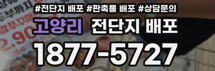 고양리 전단지 배포