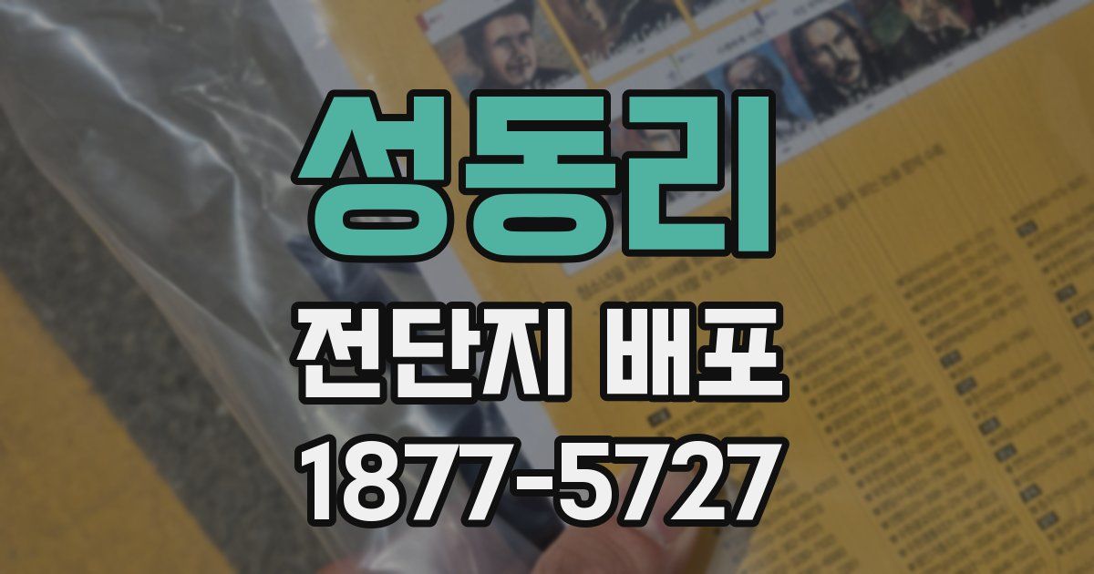 성동리 전단지 배포