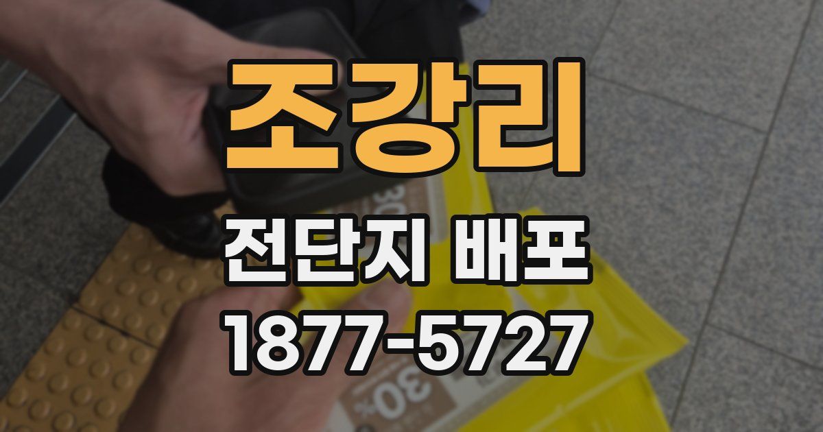 조강리 전단지 배포