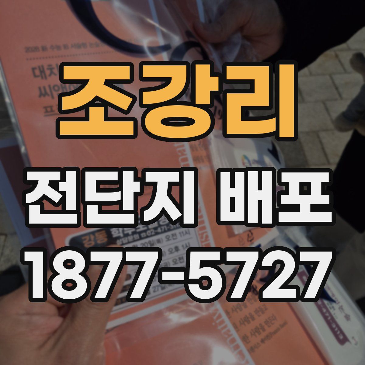 조강리 전단지 배포