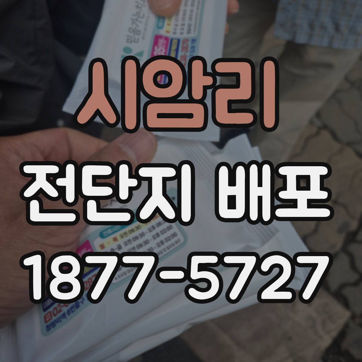 시암리 전단지 배포