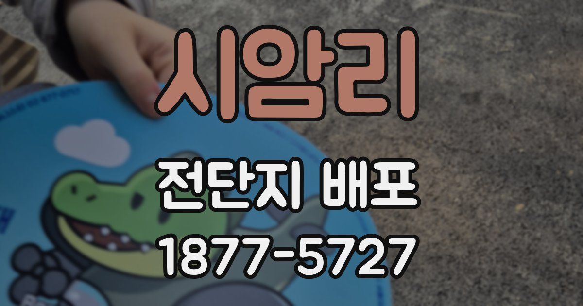 시암리 전단지 배포
