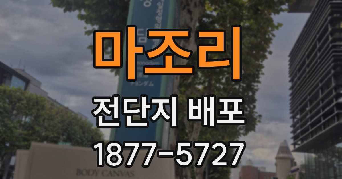 마조리 전단지 배포