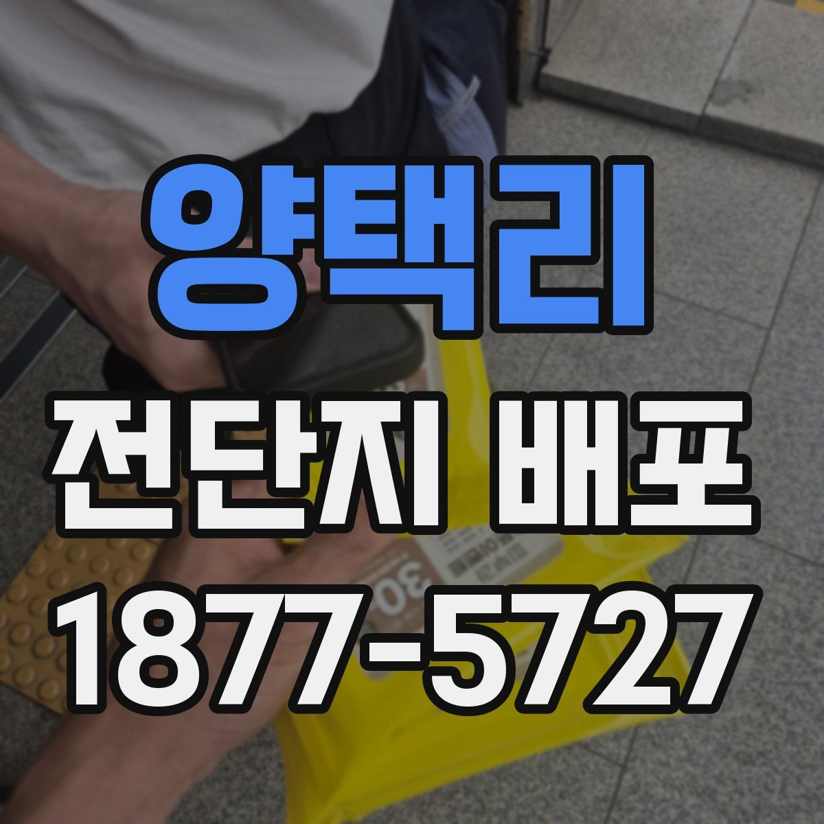 양택리 전단지 배포