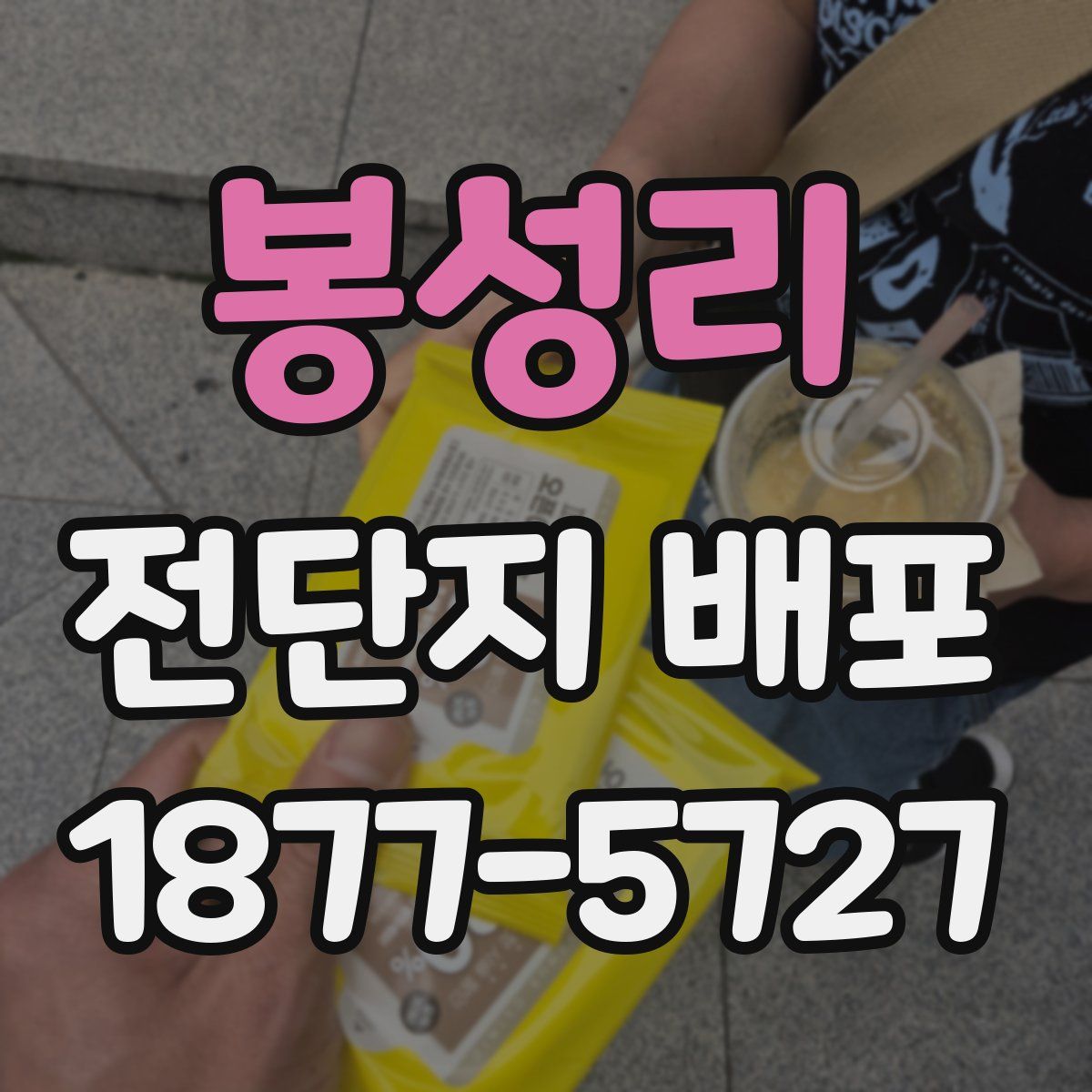 봉성리 전단지 배포