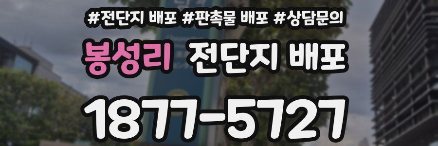 봉성리 전단지 배포